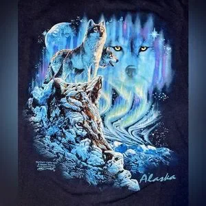 Hanes | Shirts | Polar Graphics Usa Mens Xl Navy Blue Alaska  display picture 3